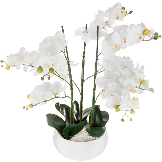 ORQUÍDEA OLLA CERÁMICA BLANCA H65 image 0