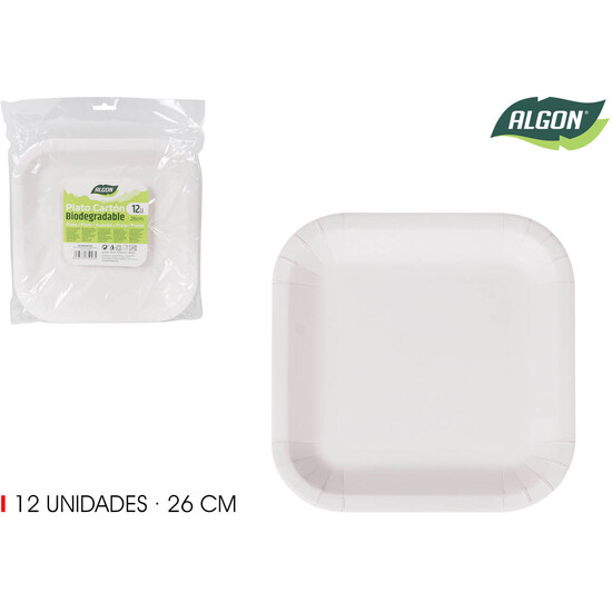 SET-12 PLATO CARTONCUAD. L/SOJA 26CM ALGON image 1