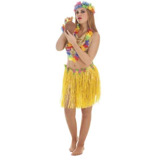 DISFRAZ ADULTO HAWAI PARTY SET TALLA L image 0