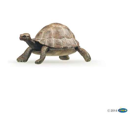 FIGURA TORTUGA 7,5X5,6X4CM image 0