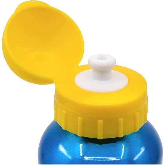 BOTELLA DE ALUMINIO ALTA PAW PATROL PUP POWER 530 ML image 2