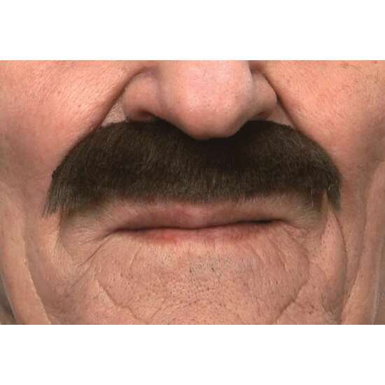 BIGOTE CASTAÑO TALLA ÚNICA image 1