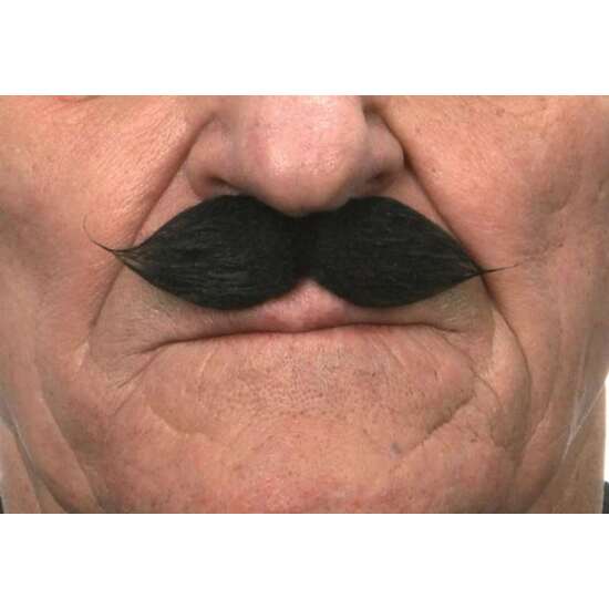 BIGOTE NEGRO TALLA ÚNICA image 1