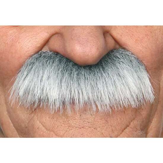 BIGOTE ADULTO CANOSO TALLA ÚNICA image 0