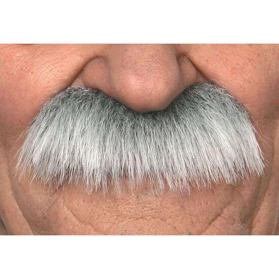 BIGOTE ADULTO CANOSO TALLA ÚNICA image 1