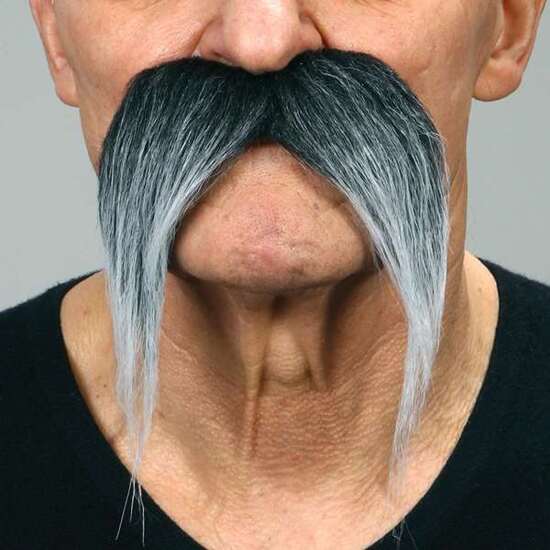 BIGOTE ADULTO TALLA ÚNICA image 0