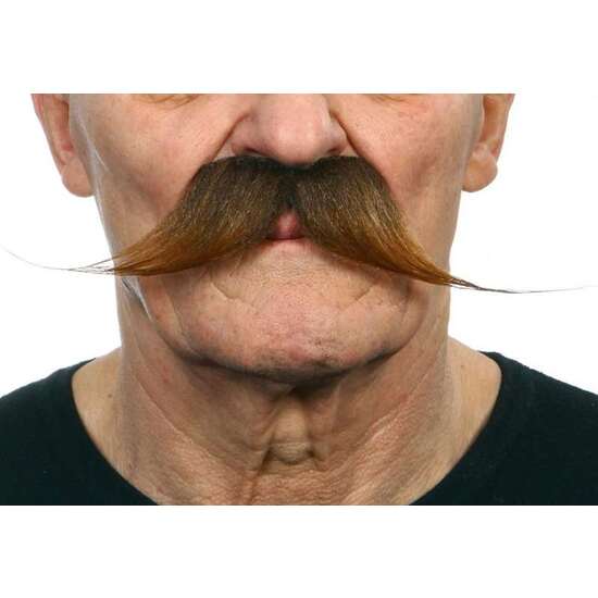BIGOTE CASTAÑO TALLA ÚNICA image 0