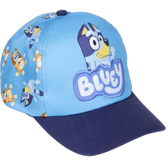 GORRA VISERA CURVA BLUEY image 0