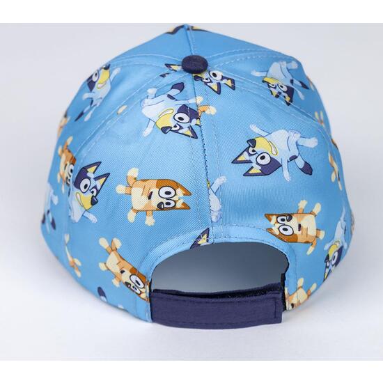 GORRA VISERA CURVA BLUEY image 1