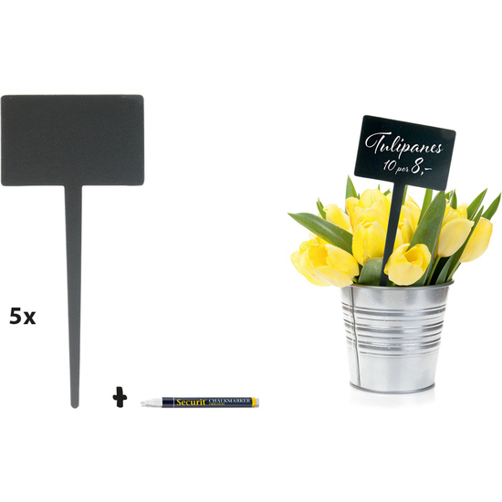 #-120-PACK 5ET. DECORATIVAS + MARCADOR image 0