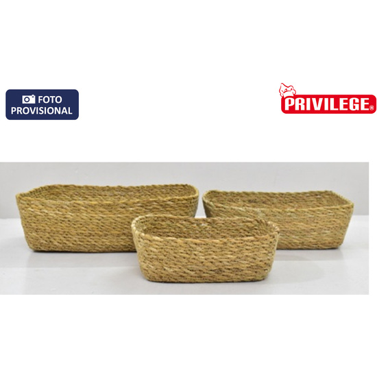 CESTA CONICA MIMBRE RECT 20X15X7CM PRIVILEGE image 0