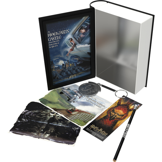 SET COLECCIONISTA HARRY POTTER Y LA CAMARA SECRETA image 3