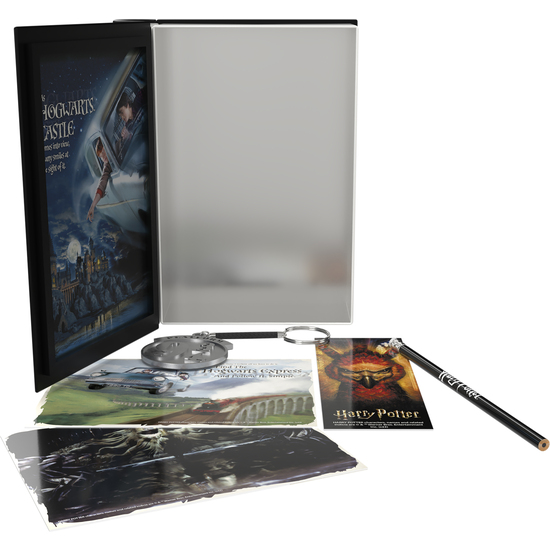 SET COLECCIONISTA HARRY POTTER Y LA CAMARA SECRETA image 4