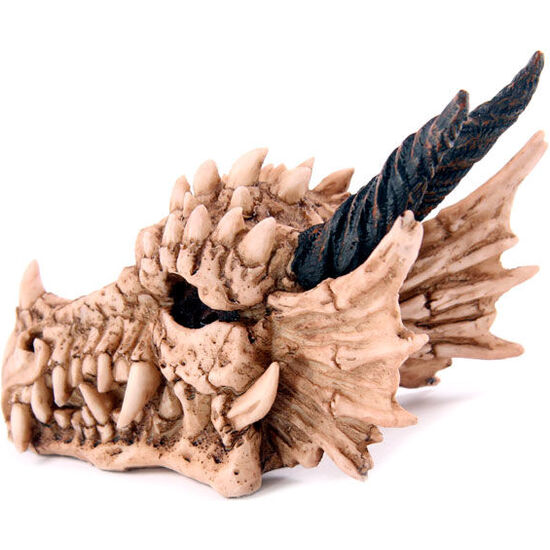 HUCHA CALAVERA DRAGON image 0