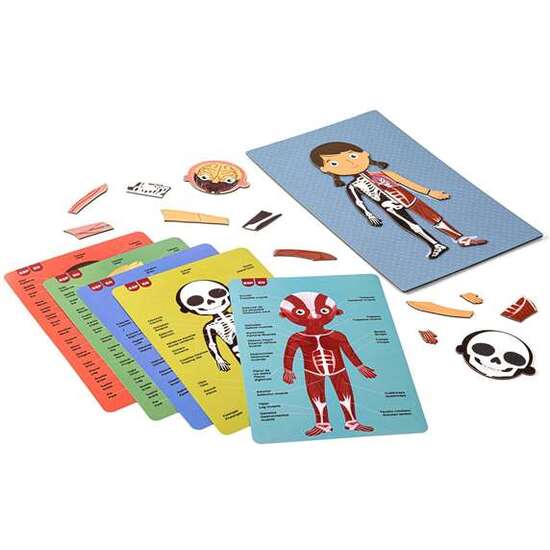 JUEGO MAGNÉTICO EL CUERPO HUMANO CON ESCENARIO IMANTADO DE 18X28 CM, 63 IMANES Y 15 FICHAS image 2