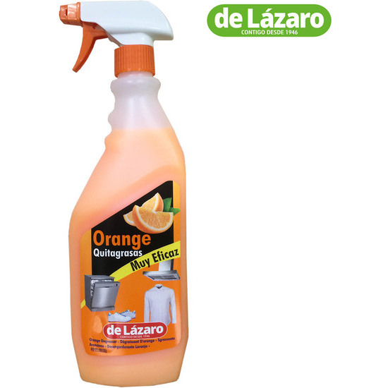 SPRAY GUN DEGREASER 750 ML  image 0