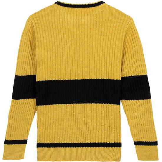 JERSEY PUNTO TRICOT HARRY POTTER image 1