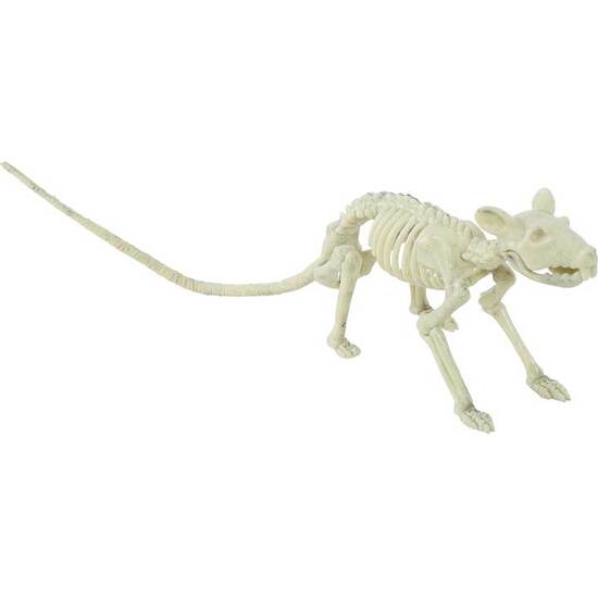 ESQUELETO RATA 20 CMS image 0