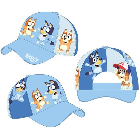 GORRA VISERA CURVA BLUEY image 0