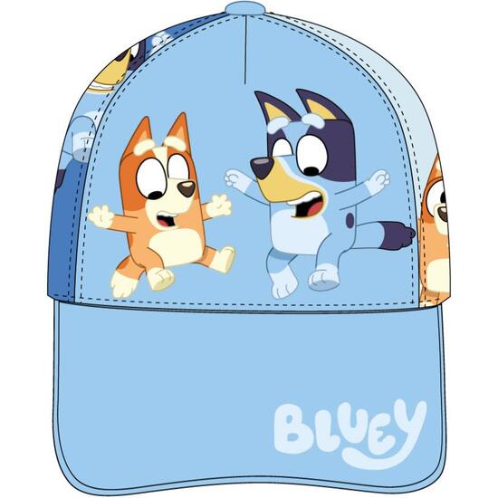 GORRA VISERA CURVA BLUEY image 1