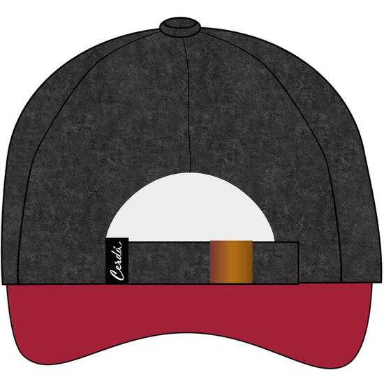 GORRA VISERA CURVA ADULTO HARRY POTTER GRYFFINDOR image 1