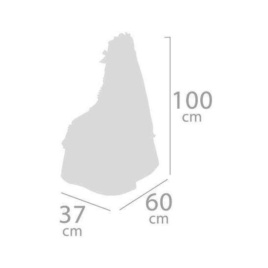 MOISÉS image 4