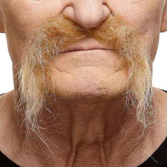 BIGOTE ÚNICA image 0