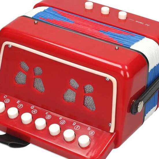 ACORDEON image 5