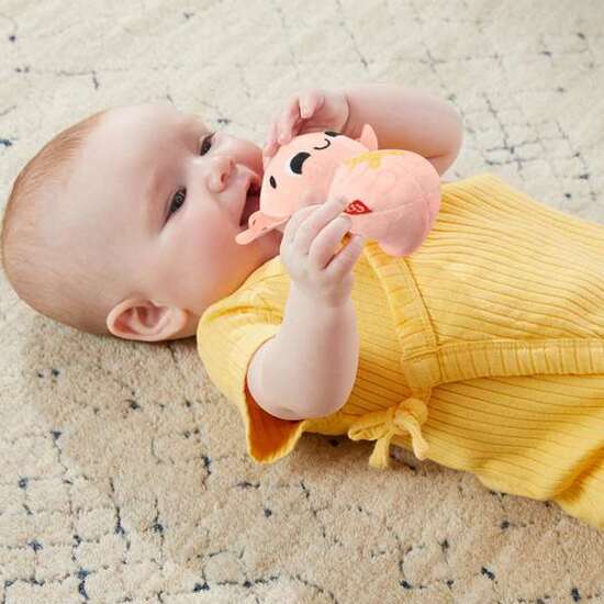 CONJUNTO REGALO JUGUETES SENSORIALES SENSIMALS FISHER-PRICE. (MORDEDOR,PELUCHE,POLILLA SONAJERO Y PAÑO DE APEGO) image 3