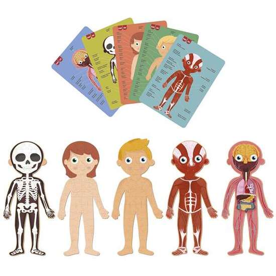 PUZLE EL CUERPO HUMANO ¡DESCUBRE LAS PARTES DEL CUERPO HUMANO, EL ESQUELETO, LOS ÓRGANOS Y LOS MÚSCULOS! INCLUYE 240 PIEZAS. 35X75X24 CM image 3