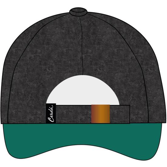 GORRA VISERA CURVA ADULTO HARRY POTTER SLYTHERIN image 1