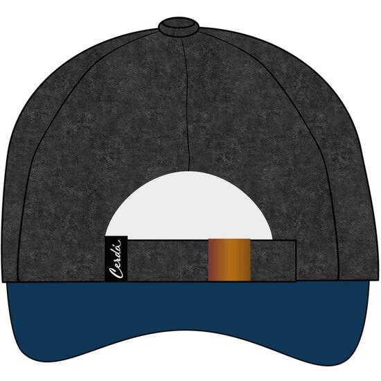 GORRA VISERA CURVA ADULTO HARRY POTTER RAVENCLAW image 1