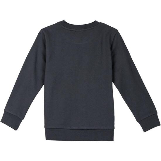 SUDADERA COTTON BRUSHED LION KING image 1