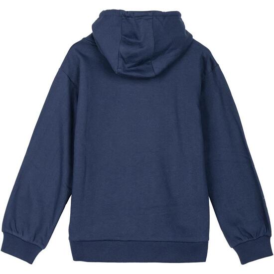 SUDADERA CON CAPUCHA COTTON BRUSHED STITCH image 1