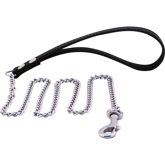 MISTER B PUPPY LEASH CHAIN image 0