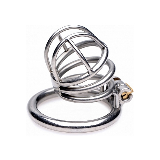 THE PEN DELUXE LOCKING CHASTITY CAGE - SILVER image 3