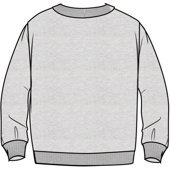 SUDADERA COTTON BRUSHED PIXAR TOY STORY image 1