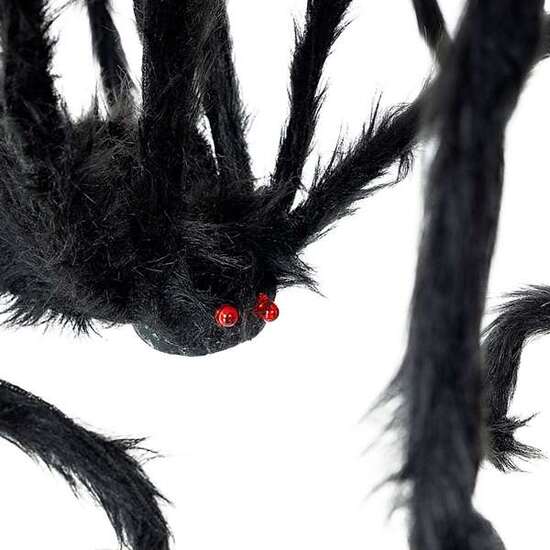ARAÑA NEGRA  TALLA 28 X 43 CM image 3
