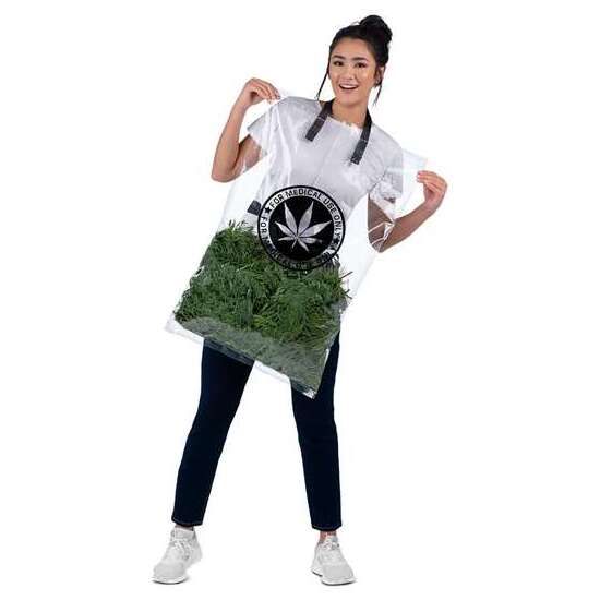 DISFRAZ BOLSA DE HIERBA  BOLSA CON CORREAS Y ESPUMILLÓN TALLA ONE SIZE ADULT image 0