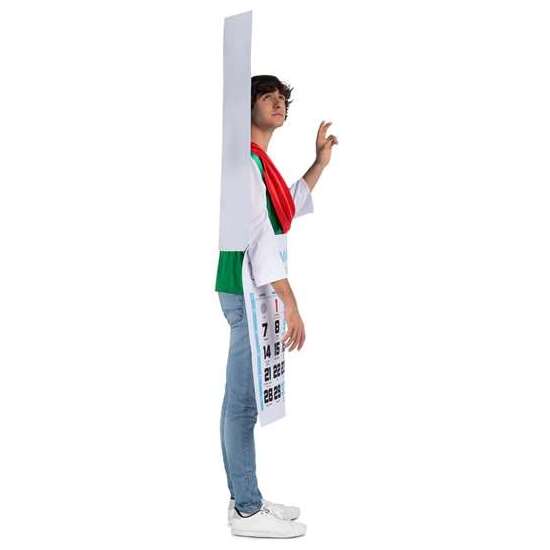 DISFRAZ CALENDARIO SAN PANCRACIO CAMISETA Y PLANCHA IMPRESA CON TIRANTES TALLA ONE SIZE image 1