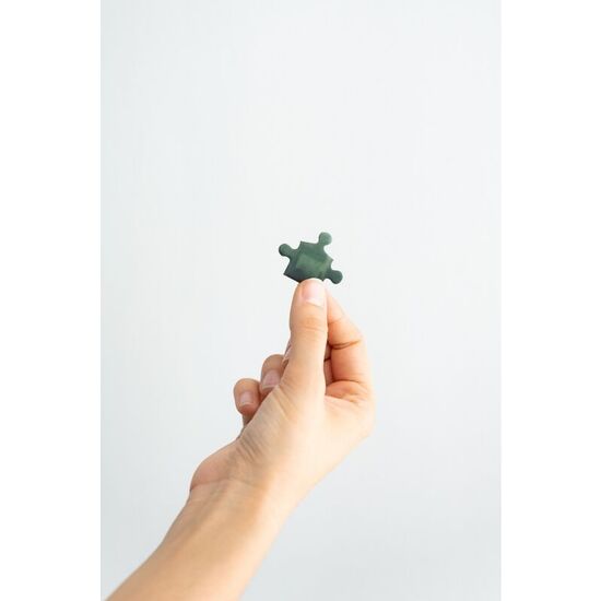 PUZZLE HARRY POTTER Y LA CAMARA SECRETA HARRY POTTER 500PZS image 1