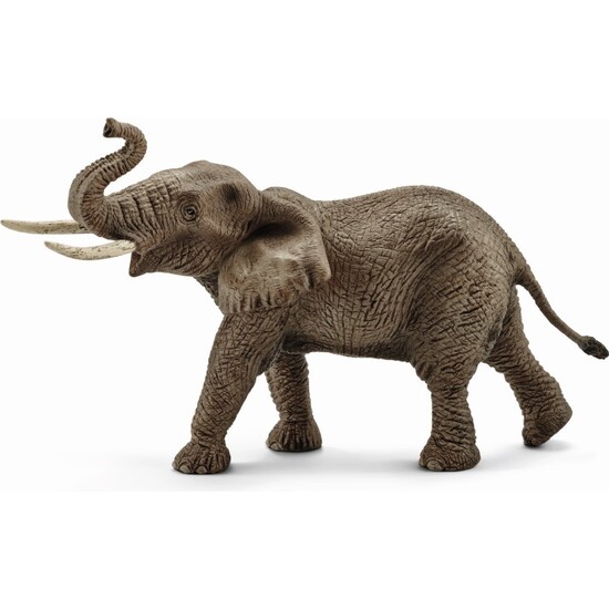 ELEFANTE AFRICANO MACHO image 0