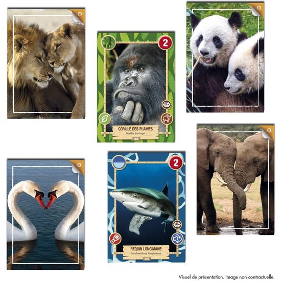 MEGAPACK REWILD ANIMALES(ARCH+TABLE image 5