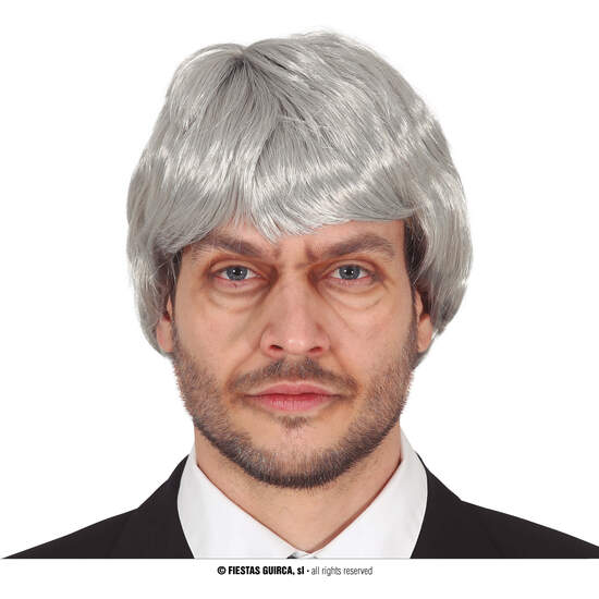 PELUCA HOMBRE GRIS EN CAJA image 0
