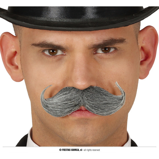 BIGOTE INGLES GRIS image 0