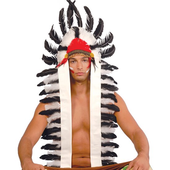 PENACHO PLUMAS INDIO 116 CMS. image 0