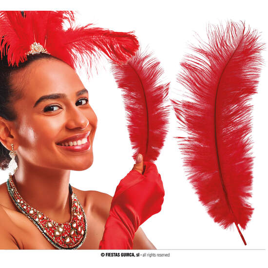 BOLSA 12 PLUMAS AVESTRUZ 30 CMS.ROJO image 0