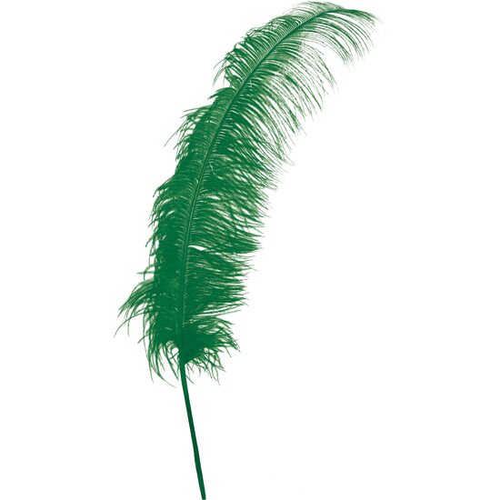 BOLSA 12 PLUMA AVESTRUZ VERDE GIGANTE 50 CMS. image 0