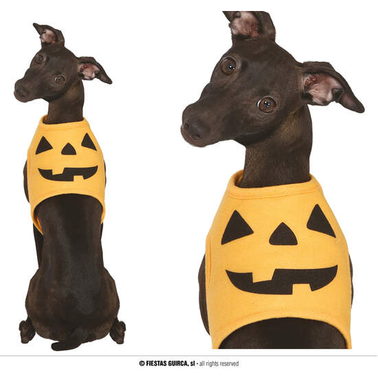 CALABAZA, MASCOTA, M - DOG image 0