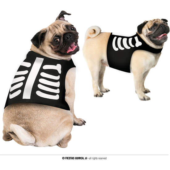 ESQUELETO, MASCOTA, M - DOG image 0
